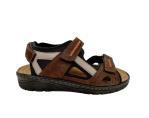 78068 H Dark brown