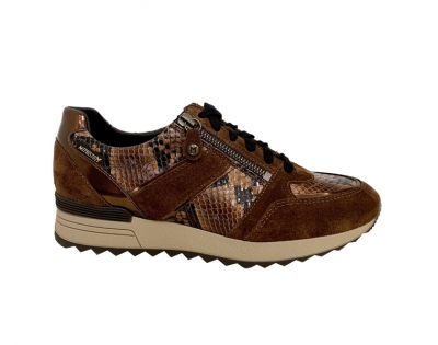  Toscana Brown