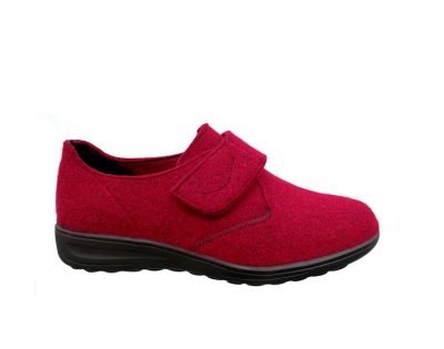  29076 K Rood