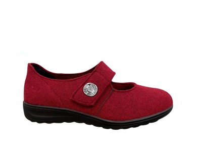  29066 K Rood