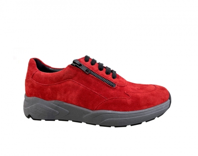 53002 H Rood