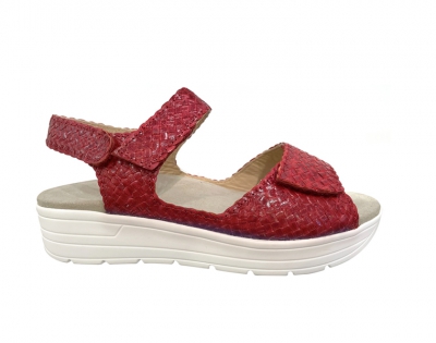  48017 G Rood