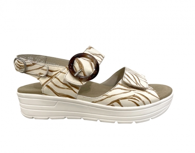  48022 G Camel
