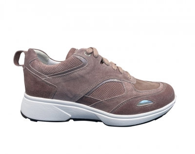  Corfino H Rose