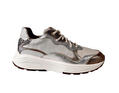  Rainbow G Bronze combi